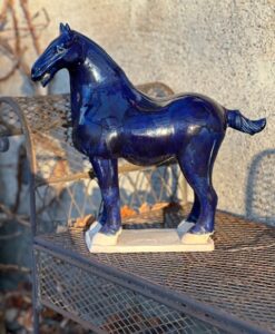 7229 Blue Tang horse L