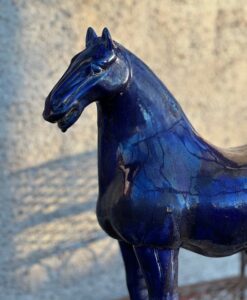 7229 Blue Tang horse L - Image 3