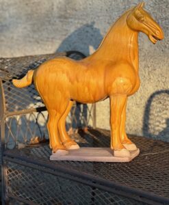 7226 Yellow Tang horse L - Image 3